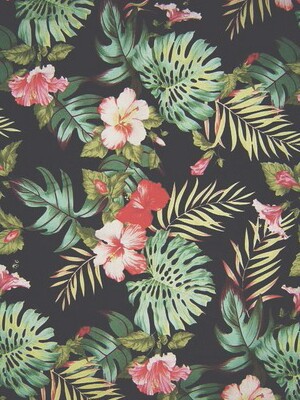 Detail Tropical Tumblr Wallpaper Nomer 29