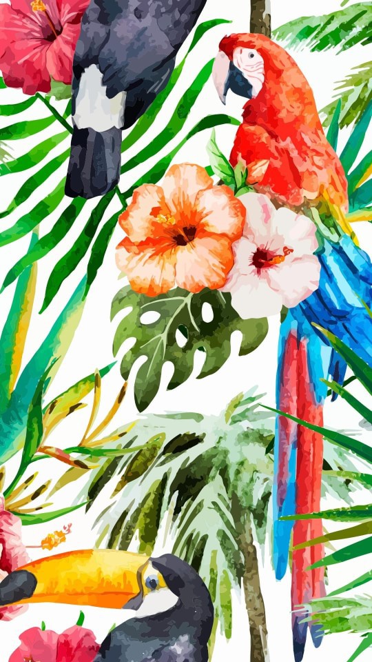 Detail Tropical Tumblr Wallpaper Nomer 31