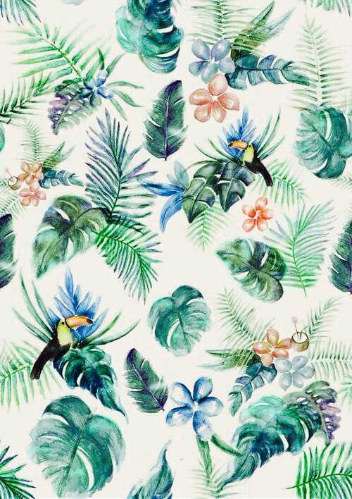 Detail Tropical Tumblr Wallpaper Nomer 32