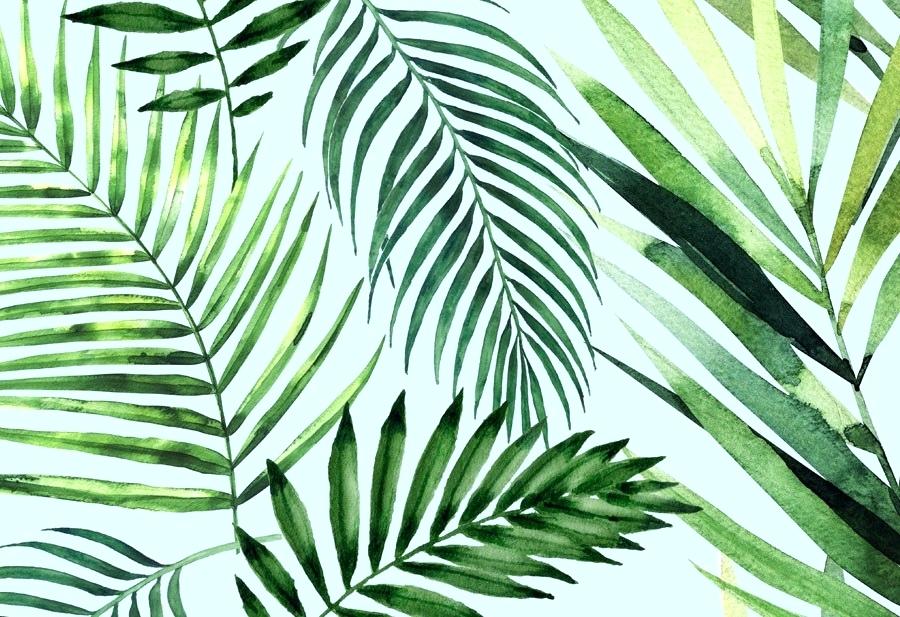 Detail Tropical Tumblr Wallpaper Nomer 7