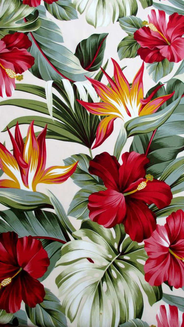 Detail Tropical Wallpaper Tumblr Nomer 16