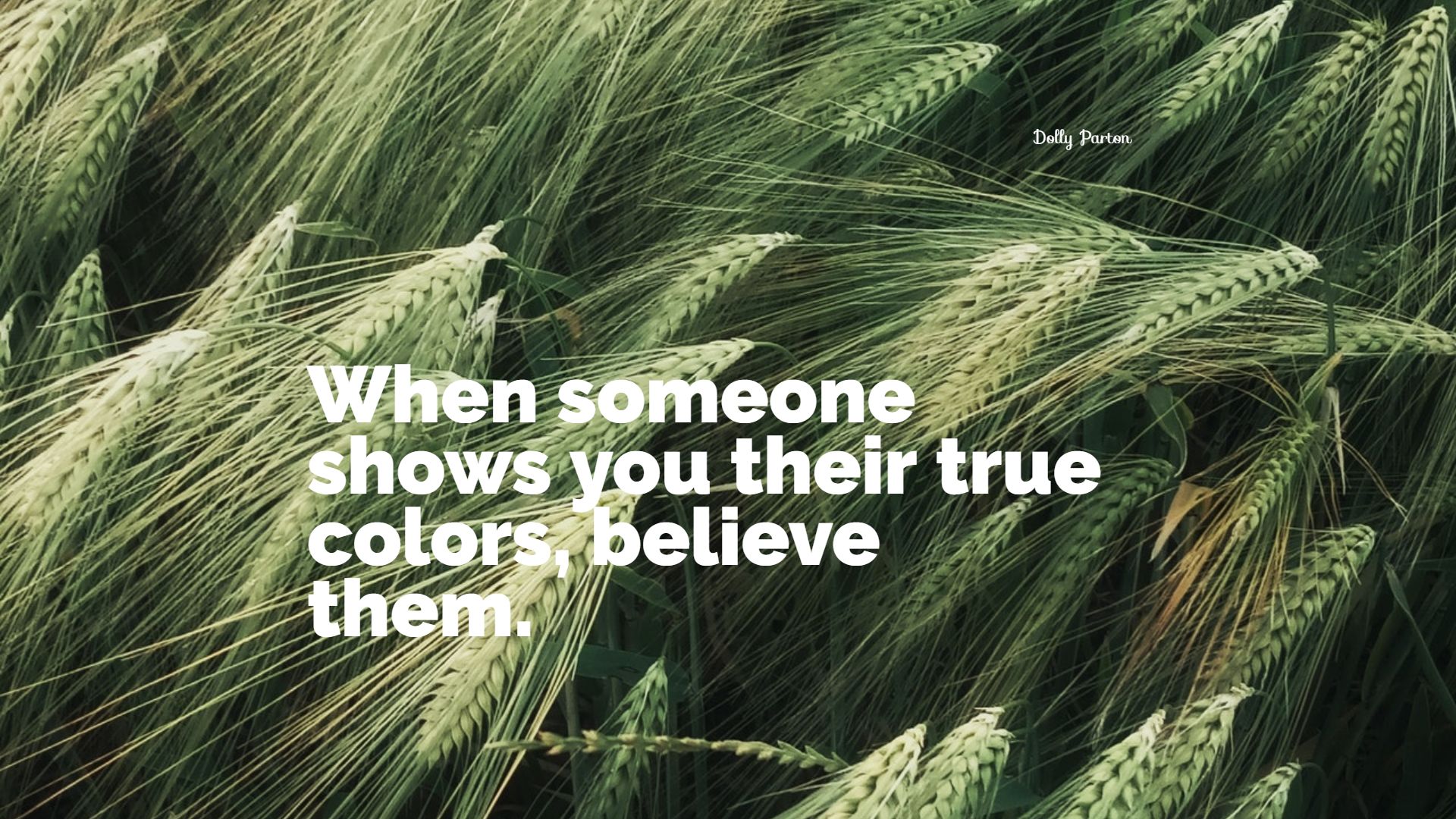 Detail True Colors Quotes Nomer 37