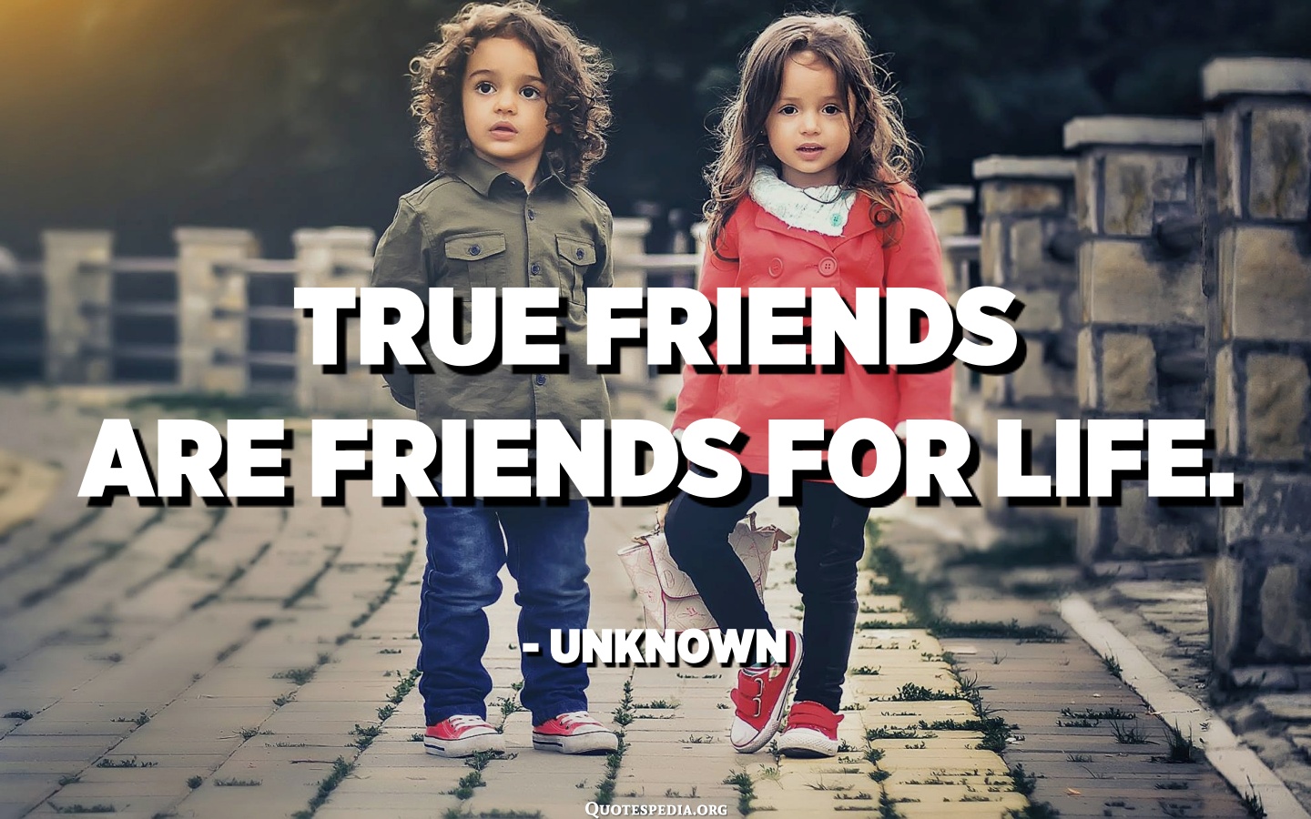 Detail True Friendship Quotes Nomer 22