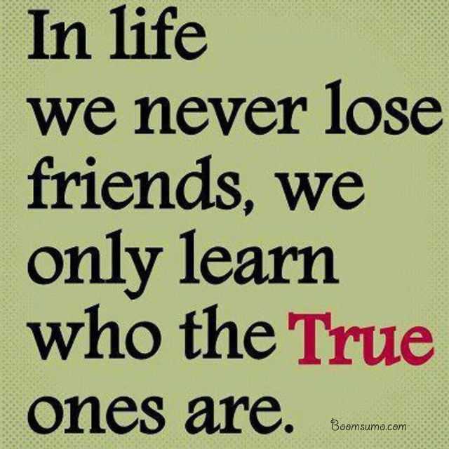 Detail True Friendship Quotes Nomer 25