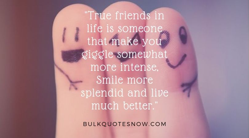 Detail True Friendship Quotes Nomer 44