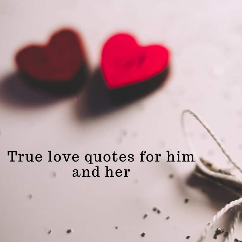 Detail True Love Quotes Nomer 33