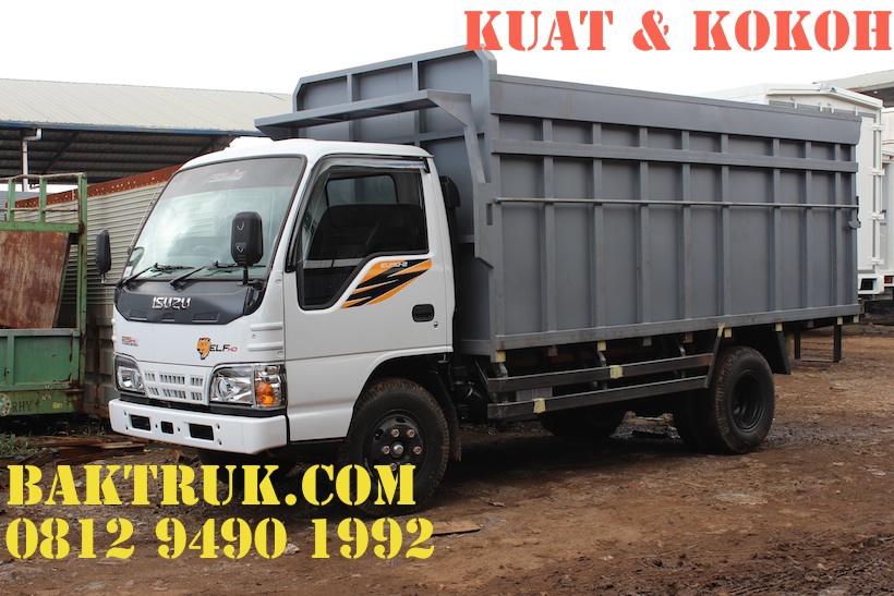 Detail Truk Elf Harimau Nomer 12