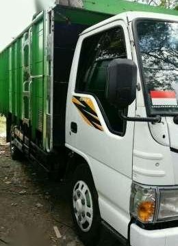 Detail Truk Elf Harimau Nomer 8