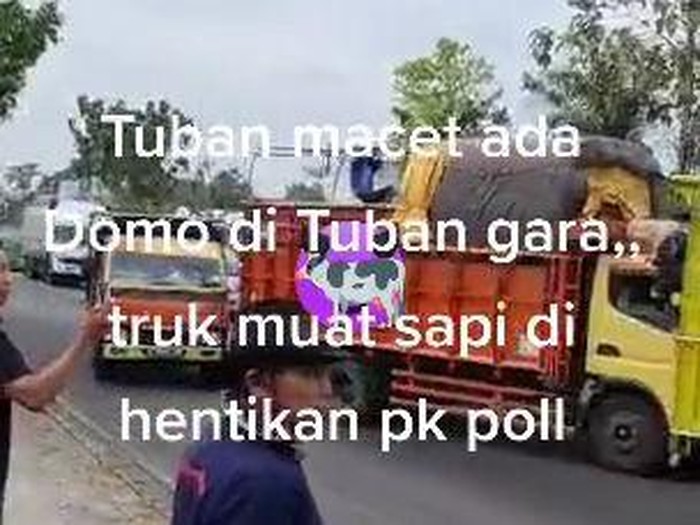 Detail Truk Muat Sapi Nomer 36