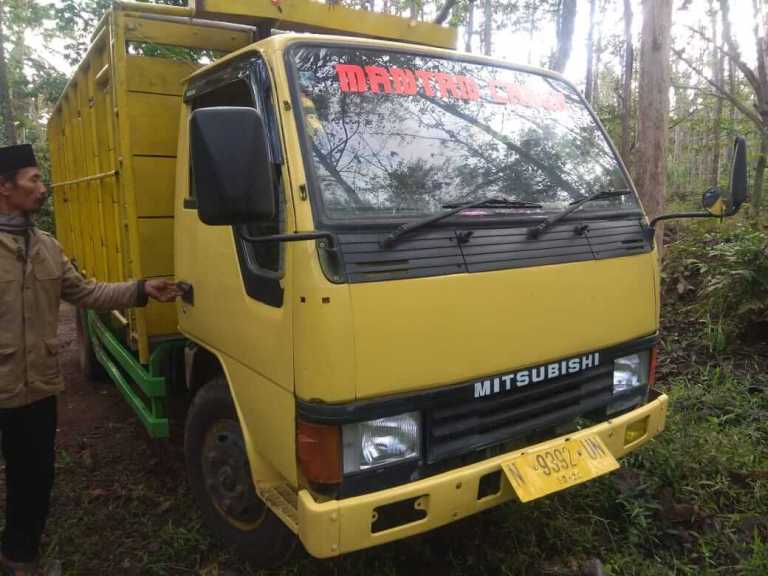 Detail Truk Muat Sapi Nomer 42