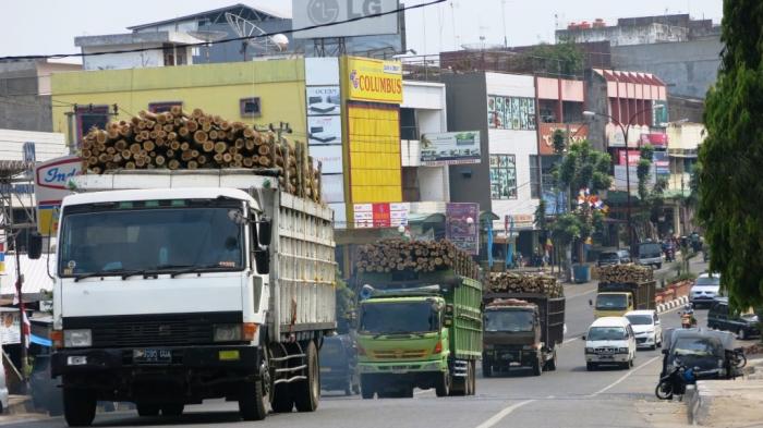 Detail Truk Pengangkut Barang Nomer 24