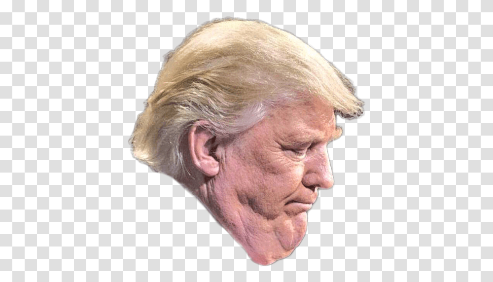 Detail Trump Head No Background Nomer 22