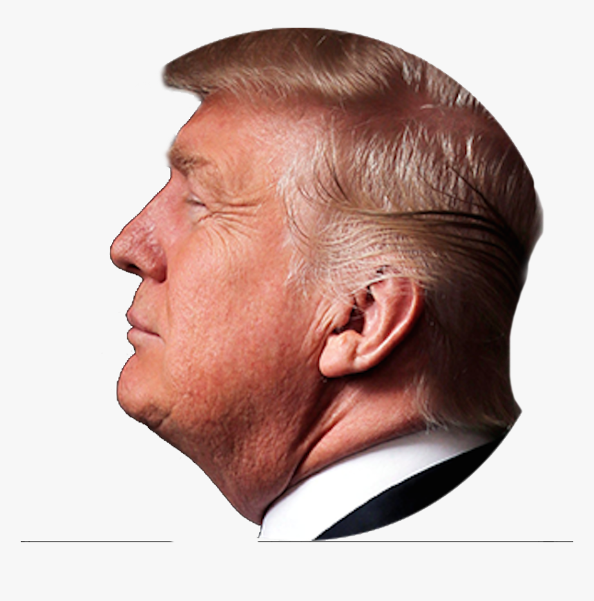 Detail Trump Head Png Nomer 26