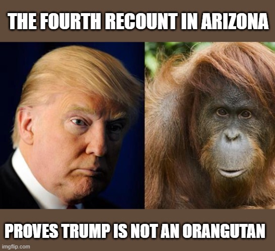 Detail Trump Orangutan Meme Nomer 8