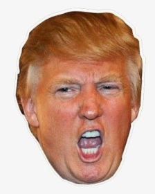 Detail Trump Png Face Nomer 11