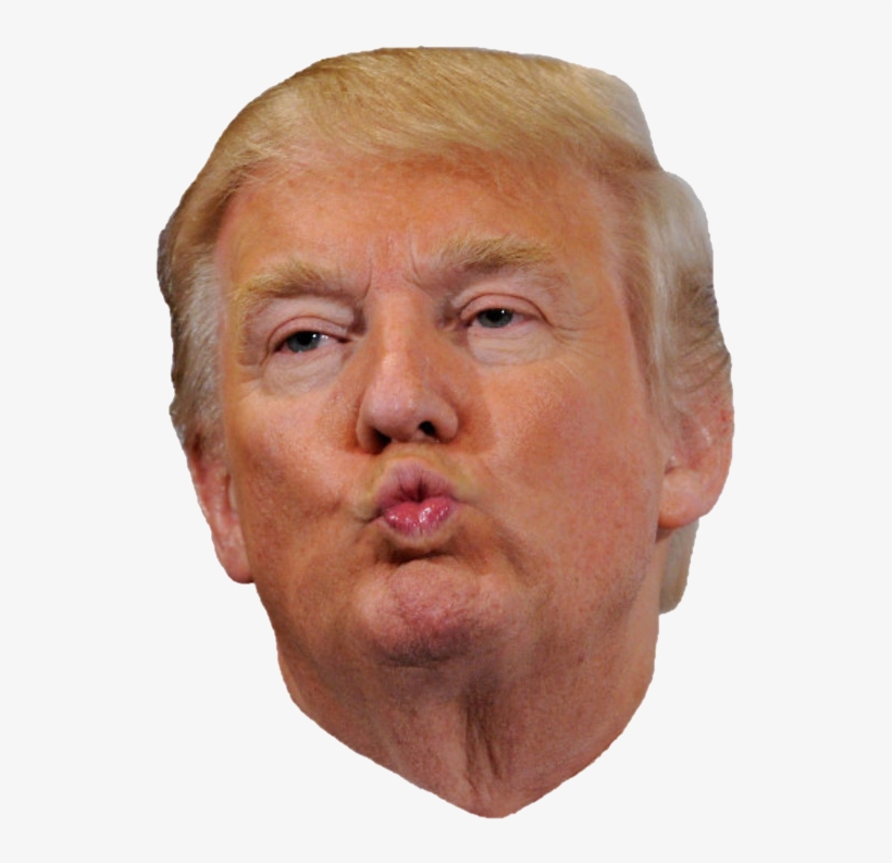 Detail Trump Png Face Nomer 9