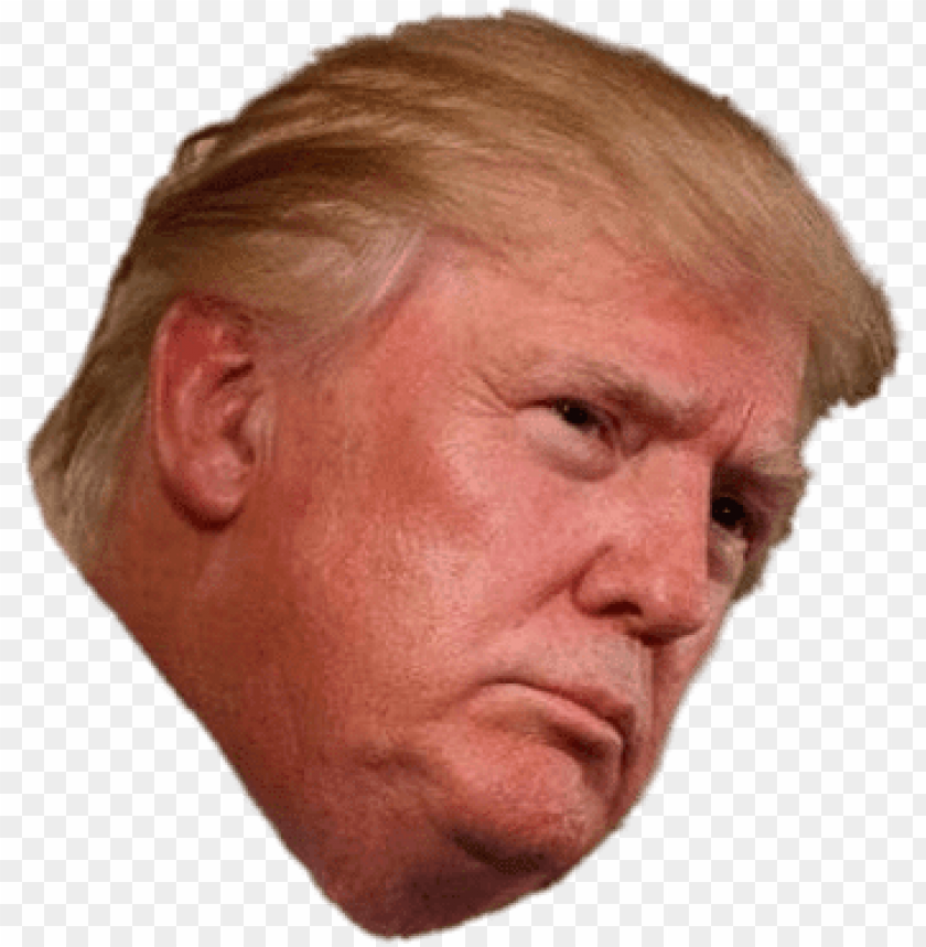 Detail Trump Png Images Nomer 35