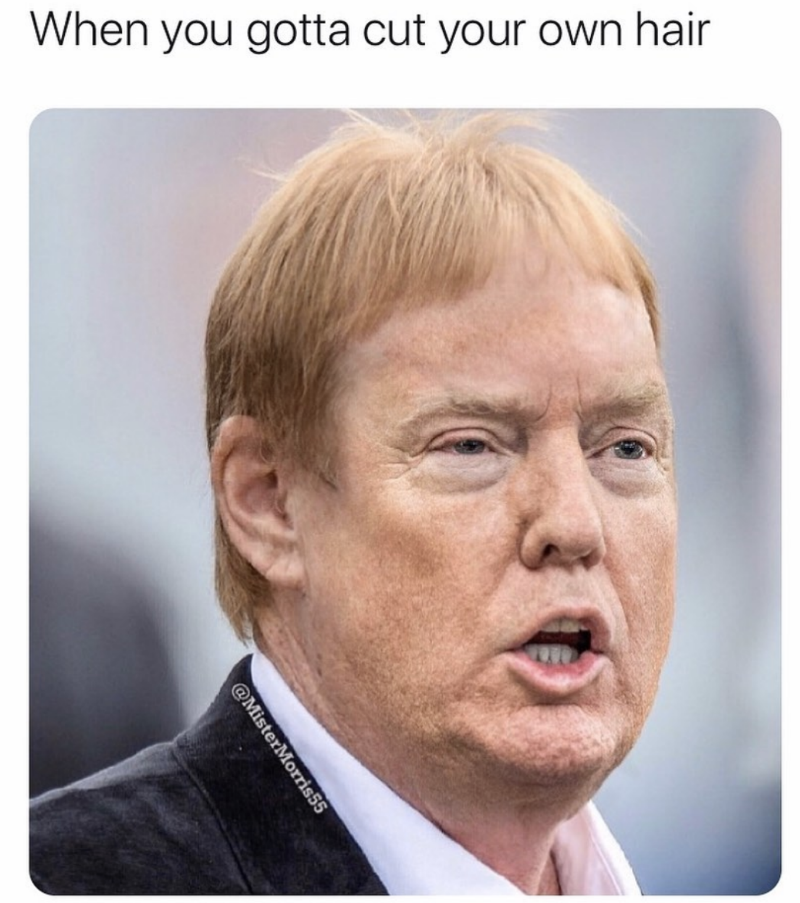 Detail Trump Vader Meme Nomer 45
