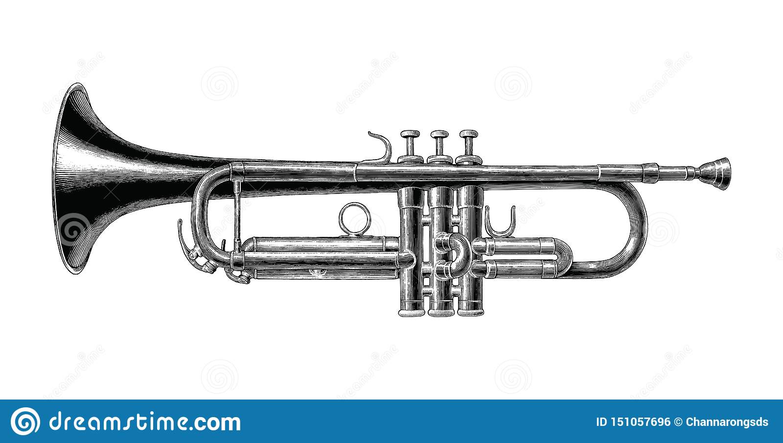 Detail Trumpet Clipart Black And White Nomer 17