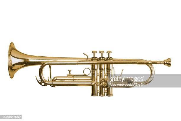 Detail Trumpet Images Free Nomer 20