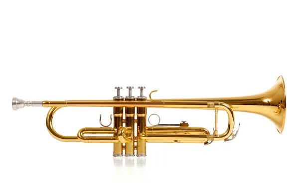 Detail Trumpet Images Free Nomer 38