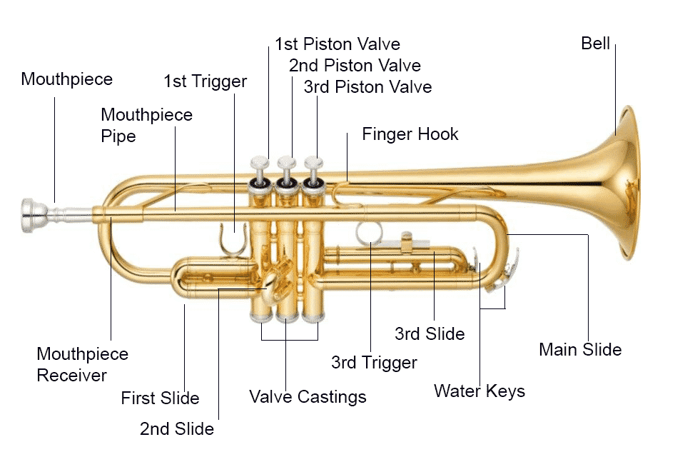 Detail Trumpet Pic Nomer 51