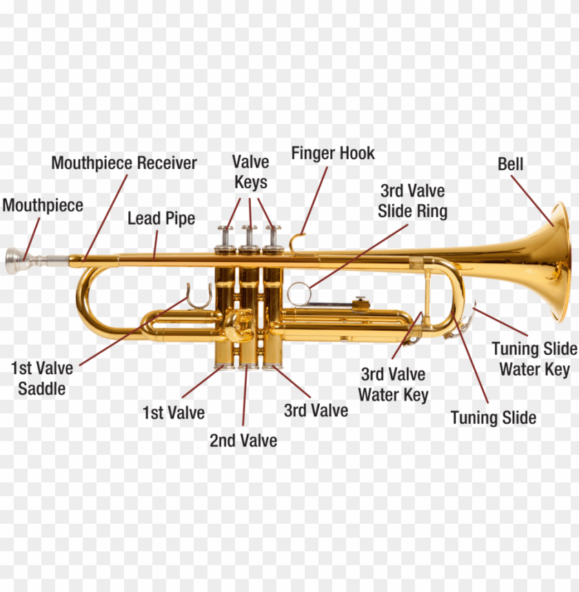 Detail Trumpet Pic Nomer 52