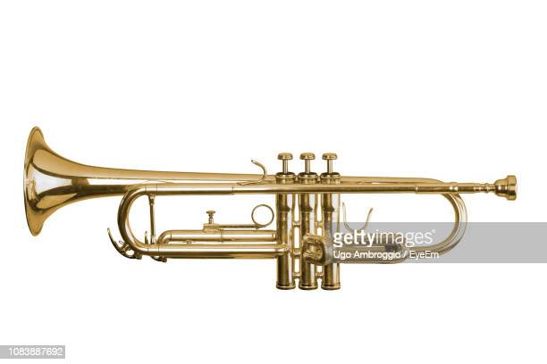 Detail Trumpet Pictures Nomer 38