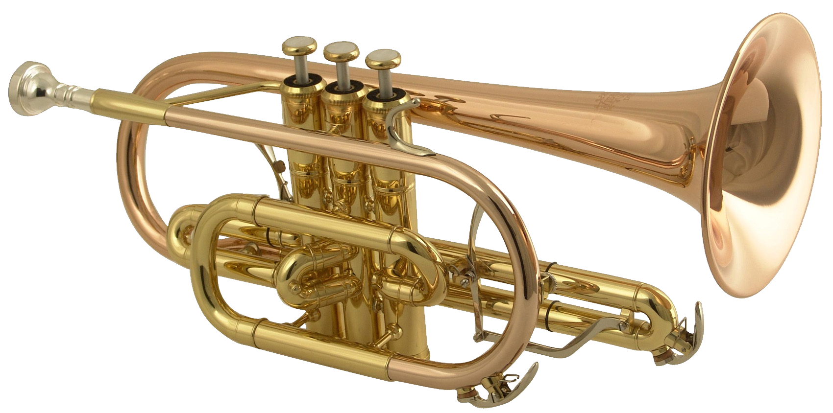 Detail Trumpet Png Nomer 19