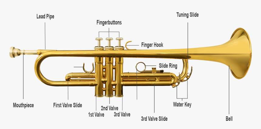 Detail Trumpet Transparent Background Nomer 36