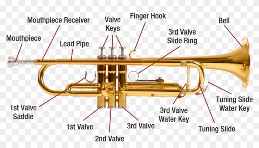 Detail Trumpets Download Nomer 46