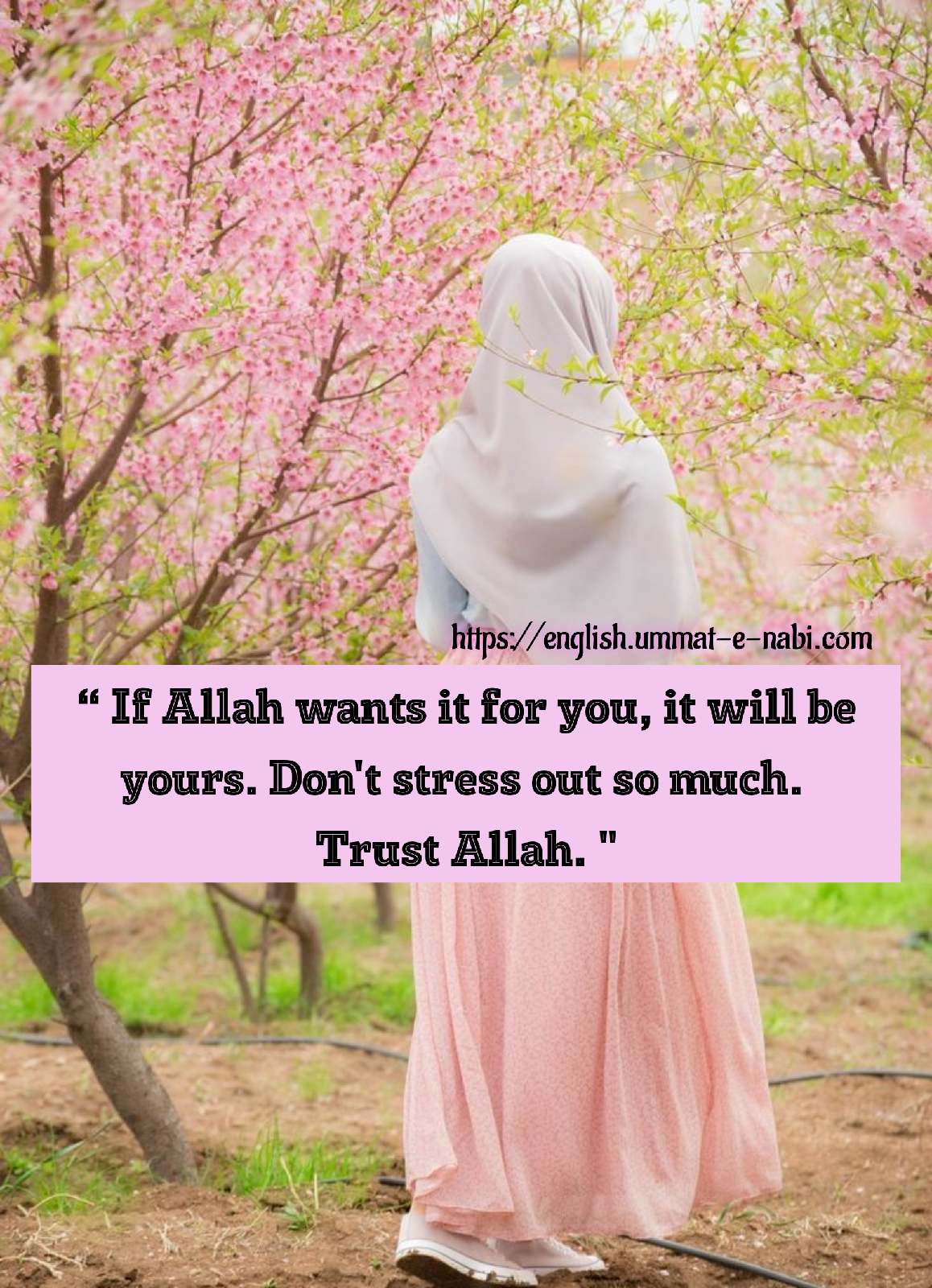 Detail Trust Allah Quotes Nomer 40