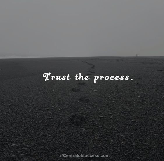 Detail Trust The Process Quotes Nomer 4