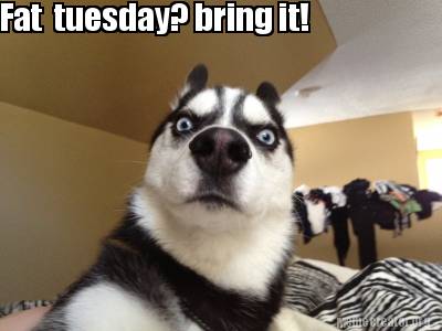 Detail Tuesday Dog Meme Nomer 49