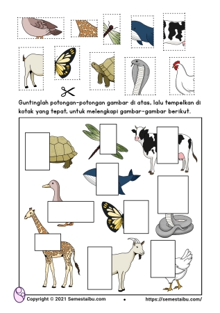 Detail Tugas Kelompok B Gambar Binatang Peliharaan Nomer 7