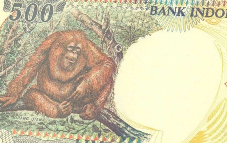 Detail Tukar Uang 500 Gambar Monyet Di Bank Nomer 20