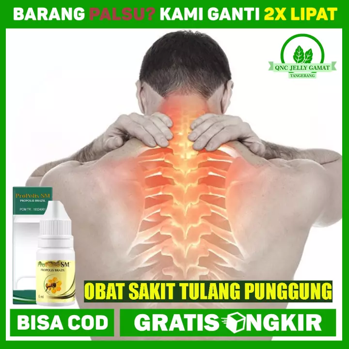 Detail Tulang Punggung Belakang Sakit Nomer 50