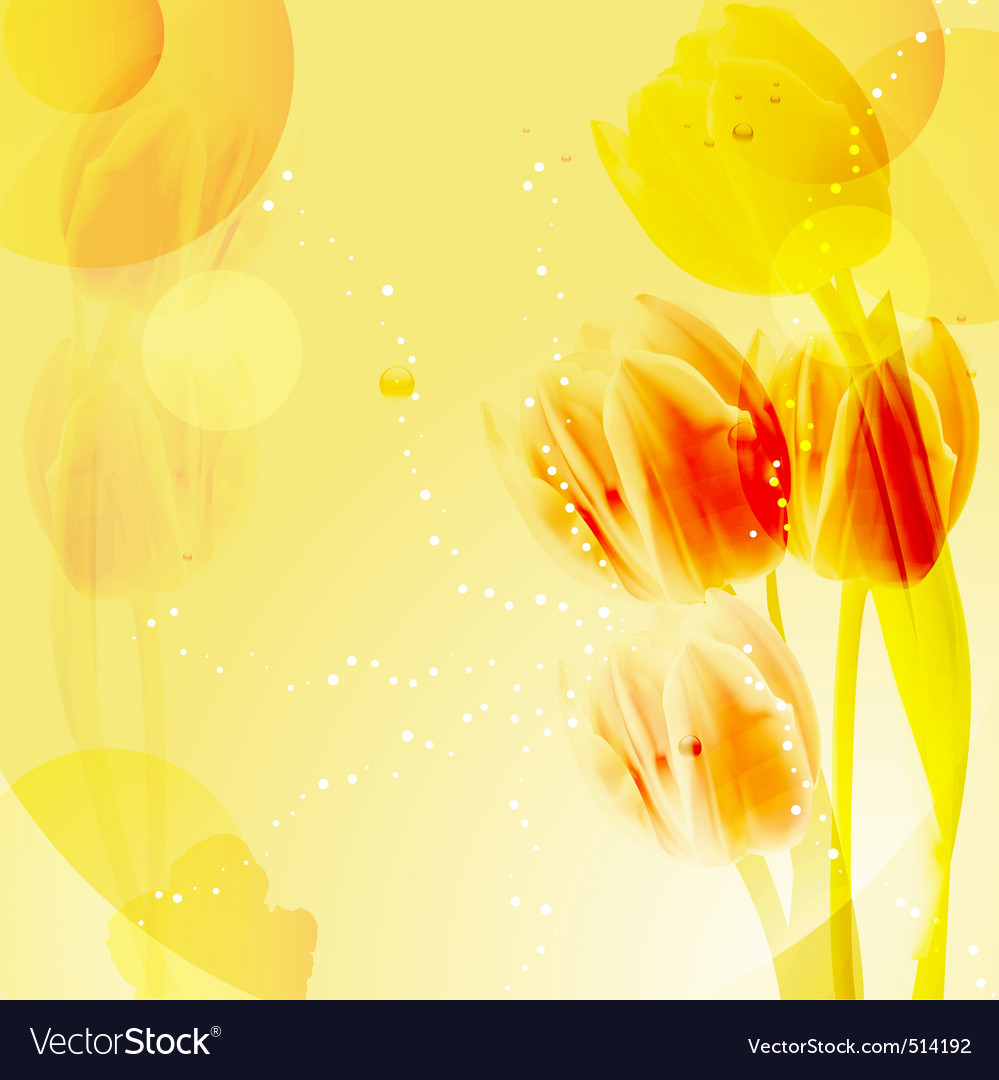 Detail Tulip Background Nomer 44