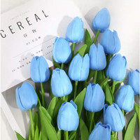 Detail Tulip Biru Nomer 10