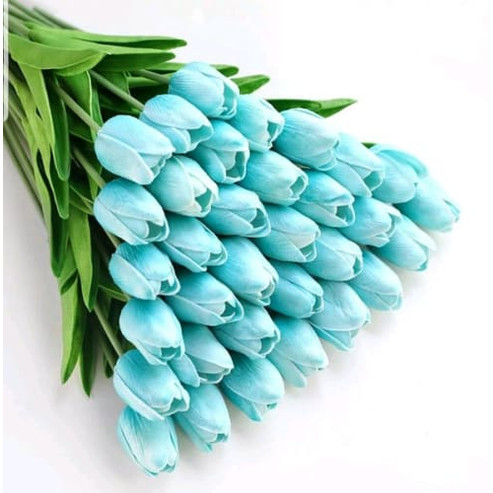 Detail Tulip Biru Nomer 11