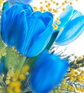 Detail Tulip Biru Nomer 16