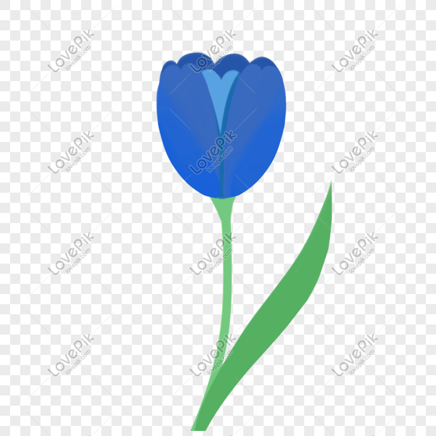 Detail Tulip Biru Nomer 17