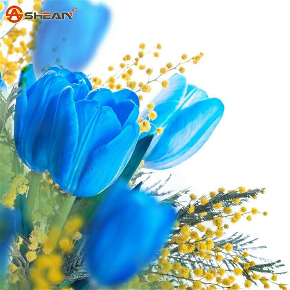 Detail Tulip Biru Nomer 2