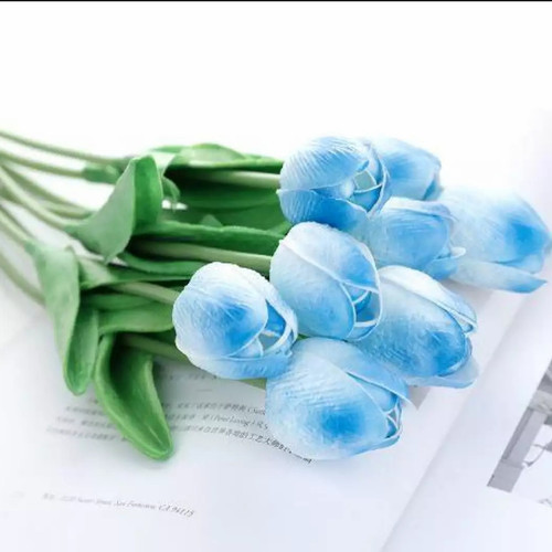 Detail Tulip Biru Nomer 20
