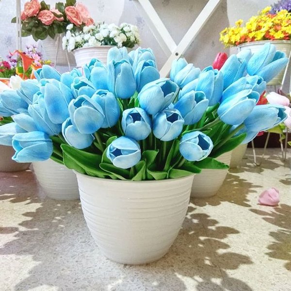 Detail Tulip Biru Nomer 21