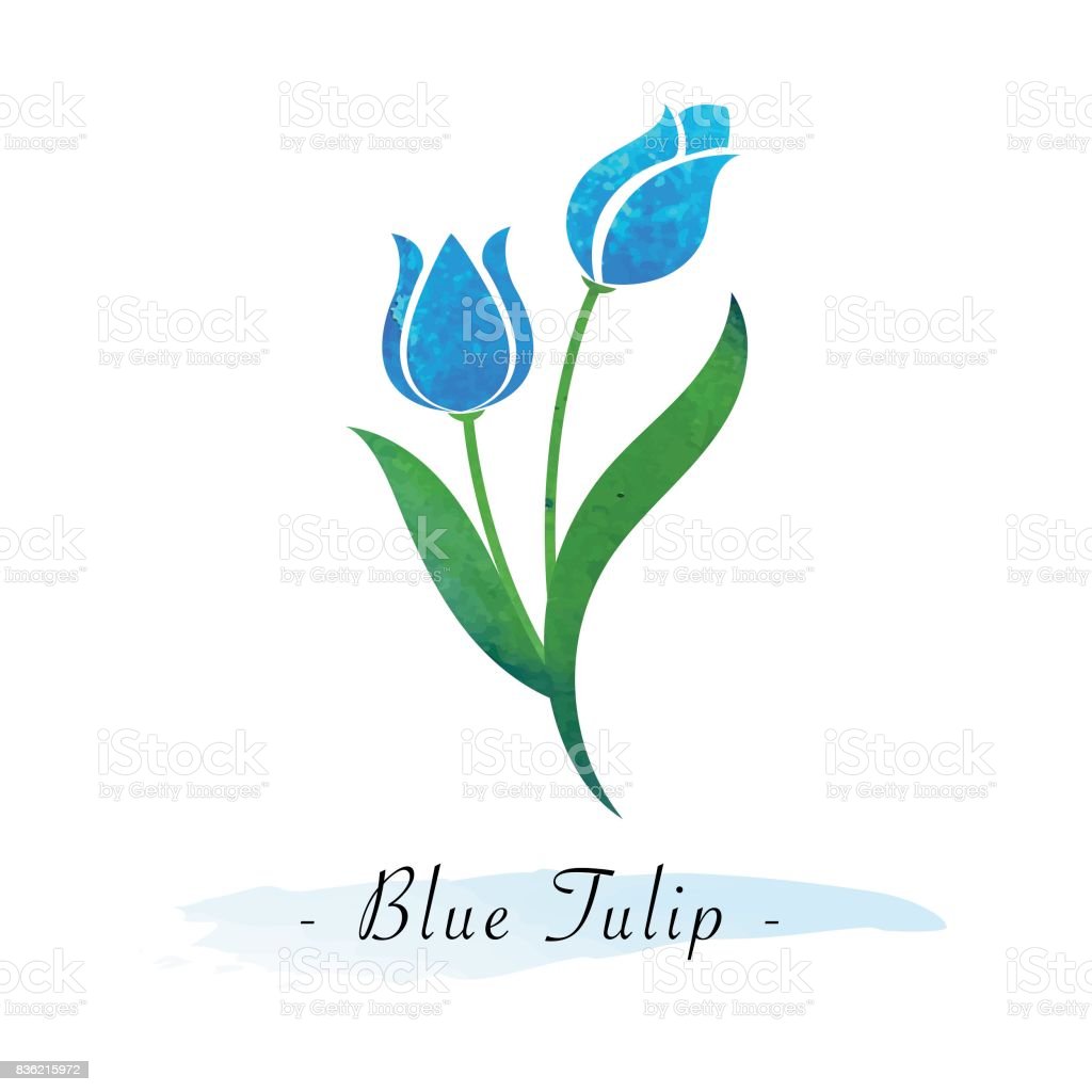 Detail Tulip Biru Nomer 36