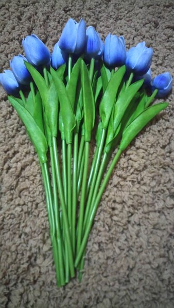 Detail Tulip Biru Nomer 55