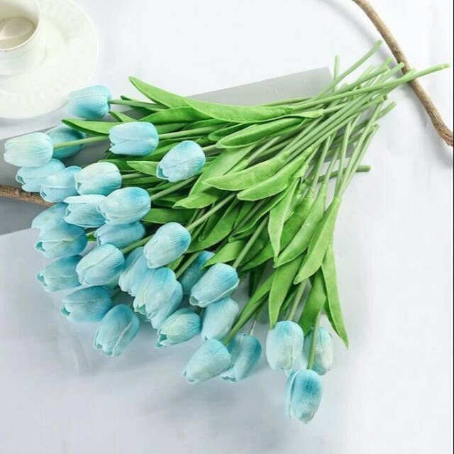 Detail Tulip Biru Nomer 9