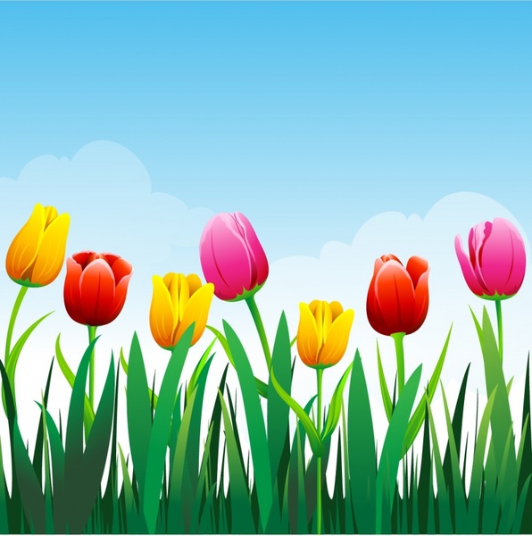 Detail Tulip Flower Images Free Download Nomer 37