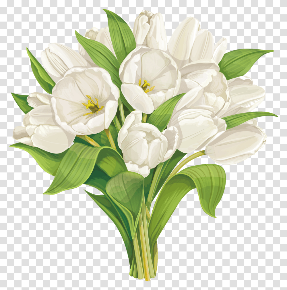 Detail Tulip Flower Png Nomer 23